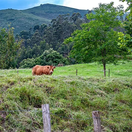 Chalet Ruralia La Casita Rural De Susa En Mazcuerras *