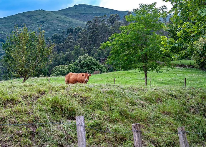 샬레 La Casita De Susa En Mazcuerras *